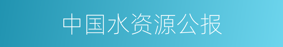 中国水资源公报的同义词