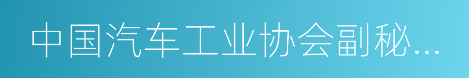 中国汽车工业协会副秘书长李万里的同义词