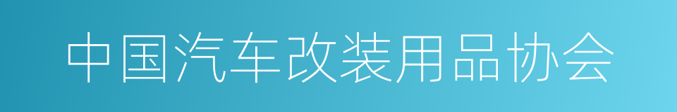 中国汽车改装用品协会的同义词
