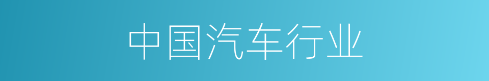 中国汽车行业的同义词