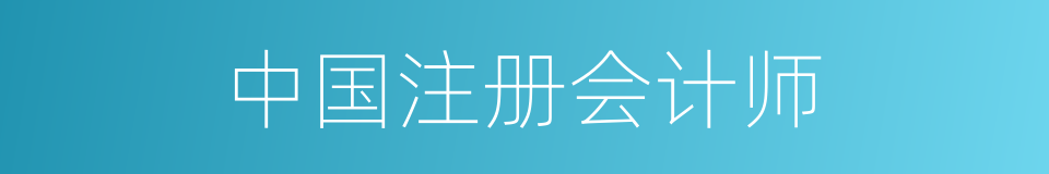 中国注册会计师的同义词