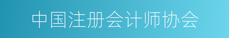 中国注册会计师协会的同义词