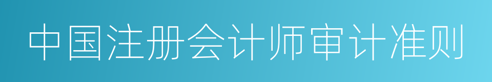 中国注册会计师审计准则的同义词