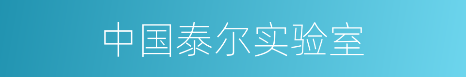 中国泰尔实验室的同义词