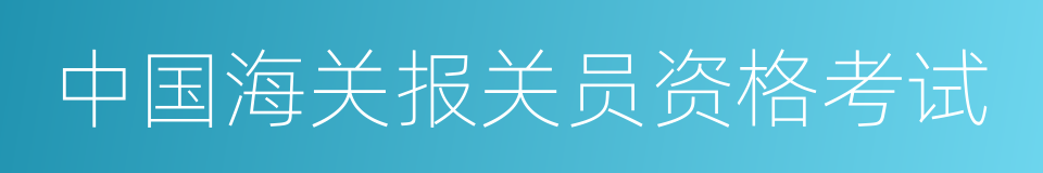 中国海关报关员资格考试的同义词