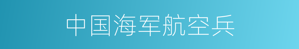 中国海军航空兵的同义词