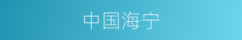 中国海宁的同义词