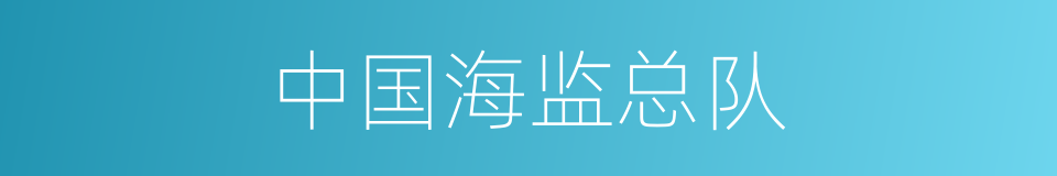 中国海监总队的同义词