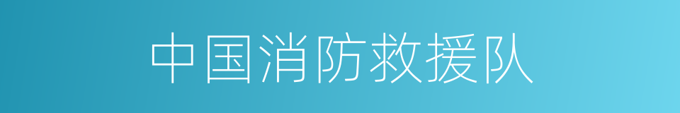 中国消防救援队的同义词