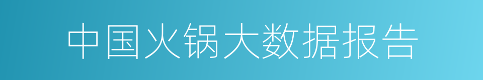 中国火锅大数据报告的同义词