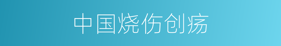 中国烧伤创疡的同义词