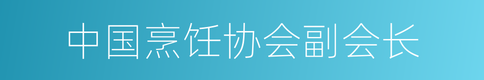 中国烹饪协会副会长的同义词