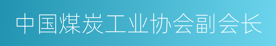 中国煤炭工业协会副会长的同义词