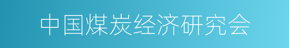 中国煤炭经济研究会的同义词