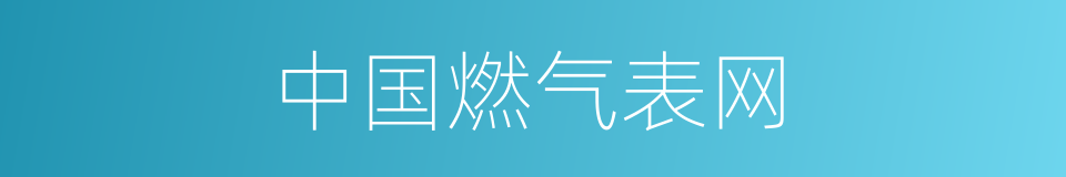 中国燃气表网的同义词