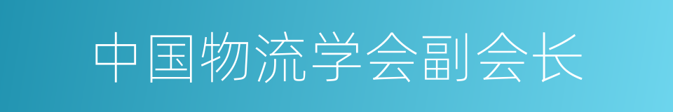 中国物流学会副会长的同义词