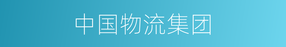 中国物流集团的同义词