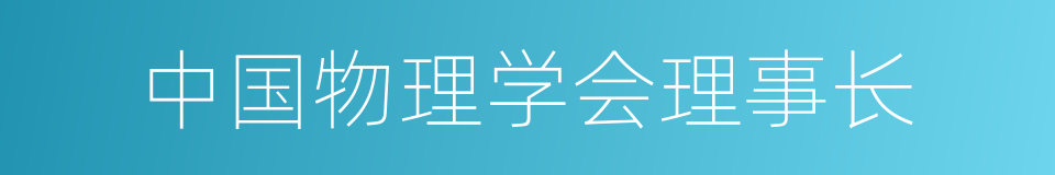 中国物理学会理事长的同义词