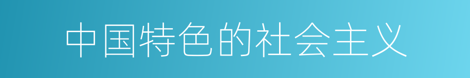 中国特色的社会主义的同义词