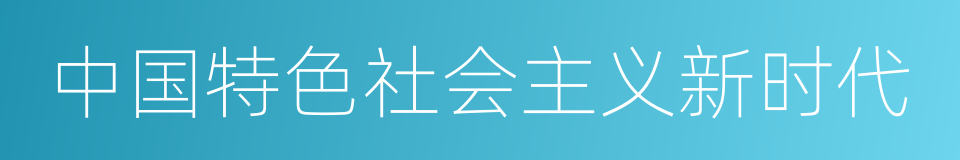 中国特色社会主义新时代的同义词