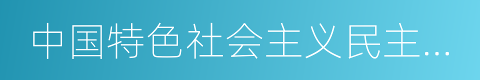 中国特色社会主义民主政治的同义词