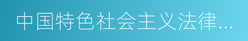 中国特色社会主义法律体系的同义词