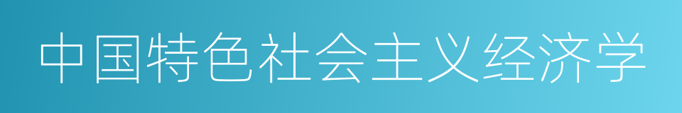 中国特色社会主义经济学的同义词