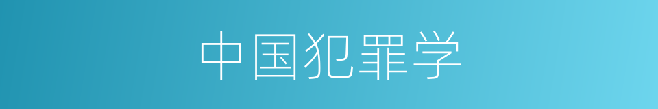 中国犯罪学的同义词