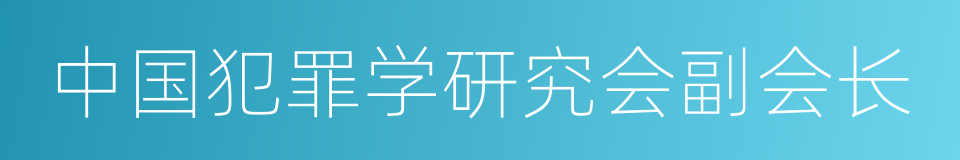 中国犯罪学研究会副会长的同义词