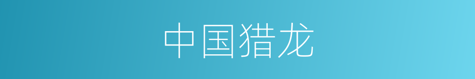 中国猎龙的同义词