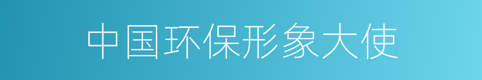 中国环保形象大使的同义词