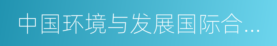 中国环境与发展国际合作委员会的同义词