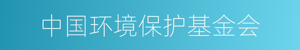 中国环境保护基金会的同义词