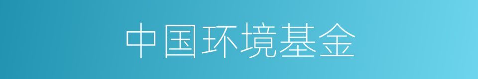 中国环境基金的同义词