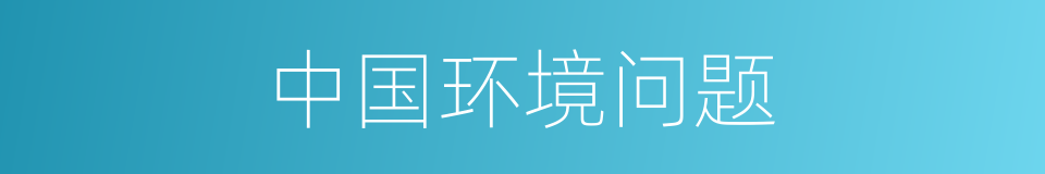 中国环境问题的同义词