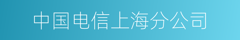 中国电信上海分公司的同义词