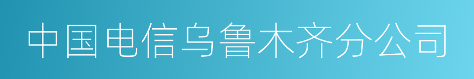 中国电信乌鲁木齐分公司的同义词