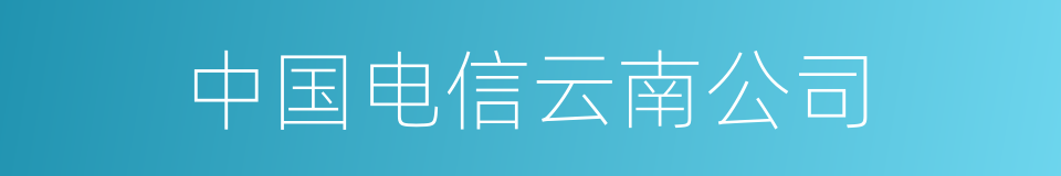 中国电信云南公司的同义词