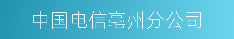 中国电信亳州分公司的同义词