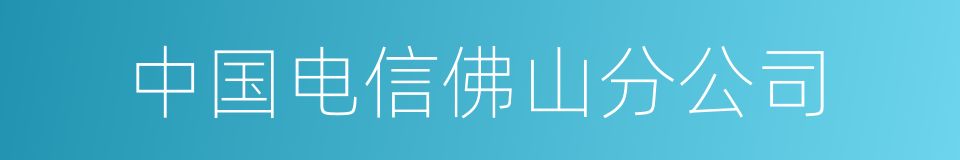 中国电信佛山分公司的同义词