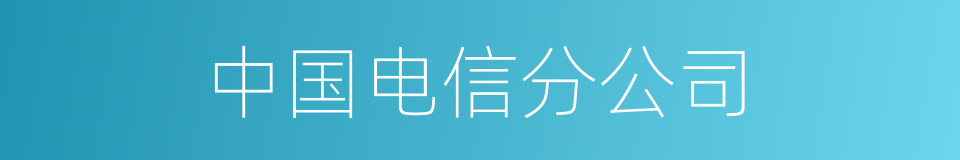 中国电信分公司的同义词