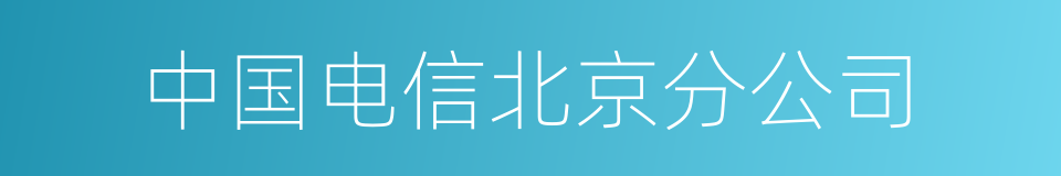 中国电信北京分公司的同义词