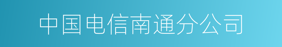 中国电信南通分公司的同义词