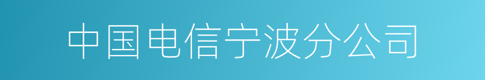 中国电信宁波分公司的同义词