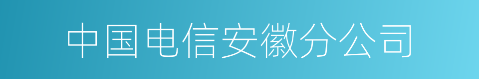 中国电信安徽分公司的同义词