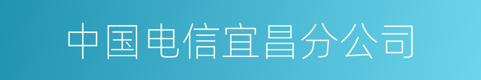 中国电信宜昌分公司的同义词
