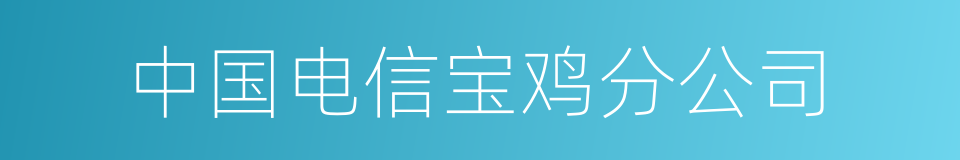 中国电信宝鸡分公司的同义词