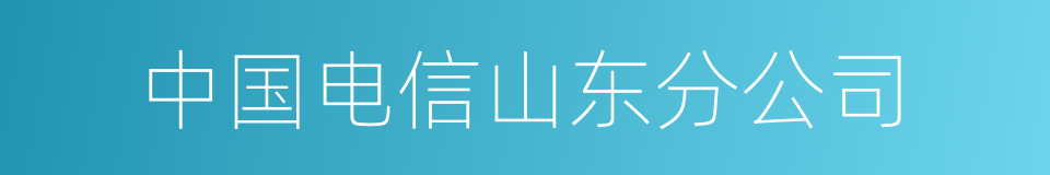 中国电信山东分公司的同义词