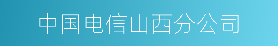 中国电信山西分公司的同义词