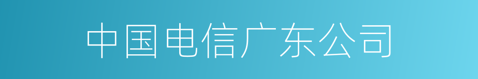 中国电信广东公司的同义词